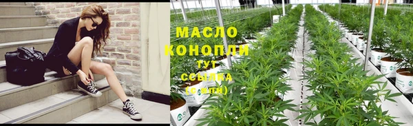 сатива Абаза