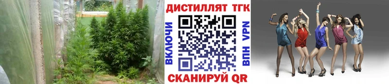 Дистиллят ТГК вейп с тгк  omg зеркало  Инза  где можно купить наркотик 